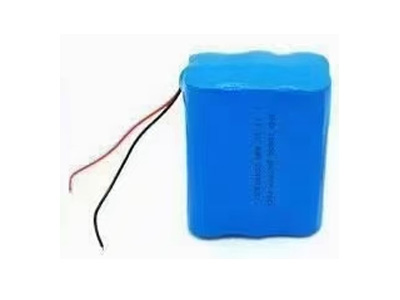 六节并联出端子电池