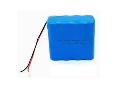 八节并联出端子电池